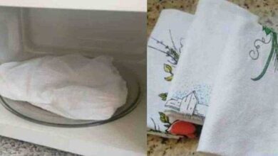 Como deixar seu pano de prato mais branco usando o micro-ondas