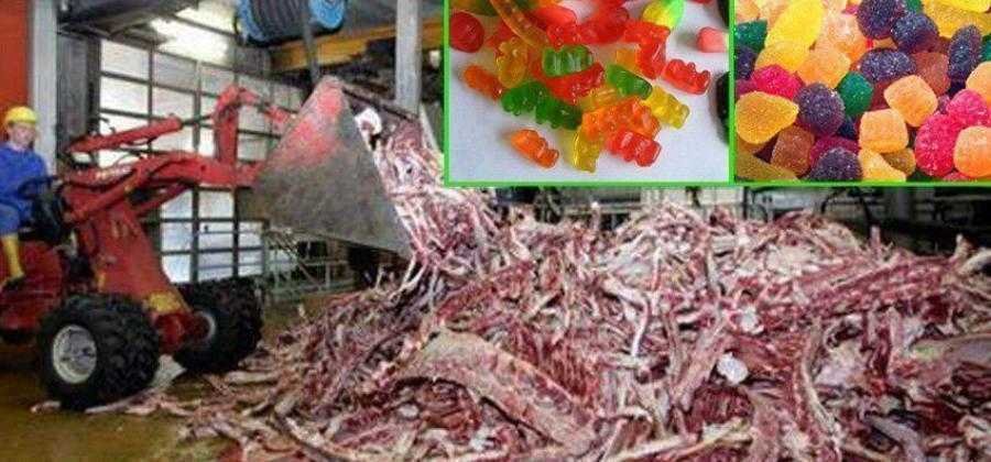 5 Alimentos que você jamais comeria, se soubesse do que são feitos