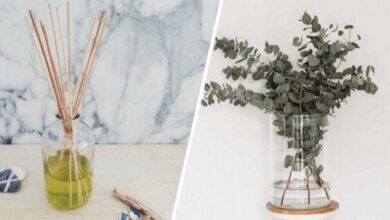 5 maneiras de deixar sua casa bem cheirosa