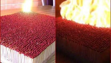 6 mil fósforos num espetáculo INCRÍVEL