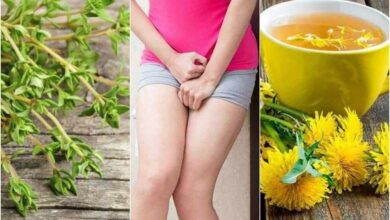 8 remédios naturais para curar a cistite