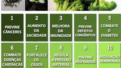 9 Coisas que vão acontecer se você incluir o brócolis na sua alimentação