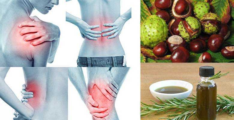 Álcool de ervas elimina dores nas articulações