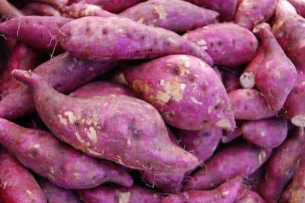 Batata doce previne diabetes, cegueira, e ajuda perder peso, aprenda 1s
