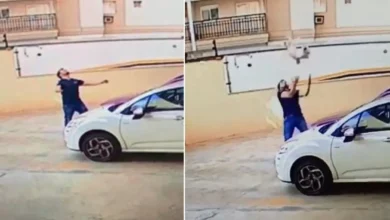 Cachorro cai do nono andar - e a câmera de segurança flagra uma cena inesperada