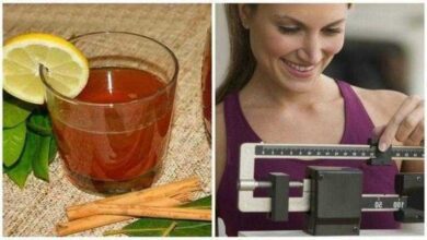 Chá de louro com canela para emagrecer rapidamente