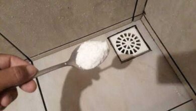 Colocar sal nos ralos elimina baratas, mosquitinhos e aquele mau cheiro nos ralos