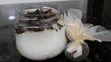 Como Deixar Sua Casa Livre de Moscas, Baratas e Traças