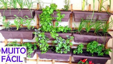 Como Fazer uma Horta Vertical em Casa