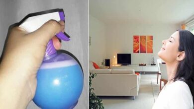 Como fazer Aromatizante Caseiro | Bau das DICAS