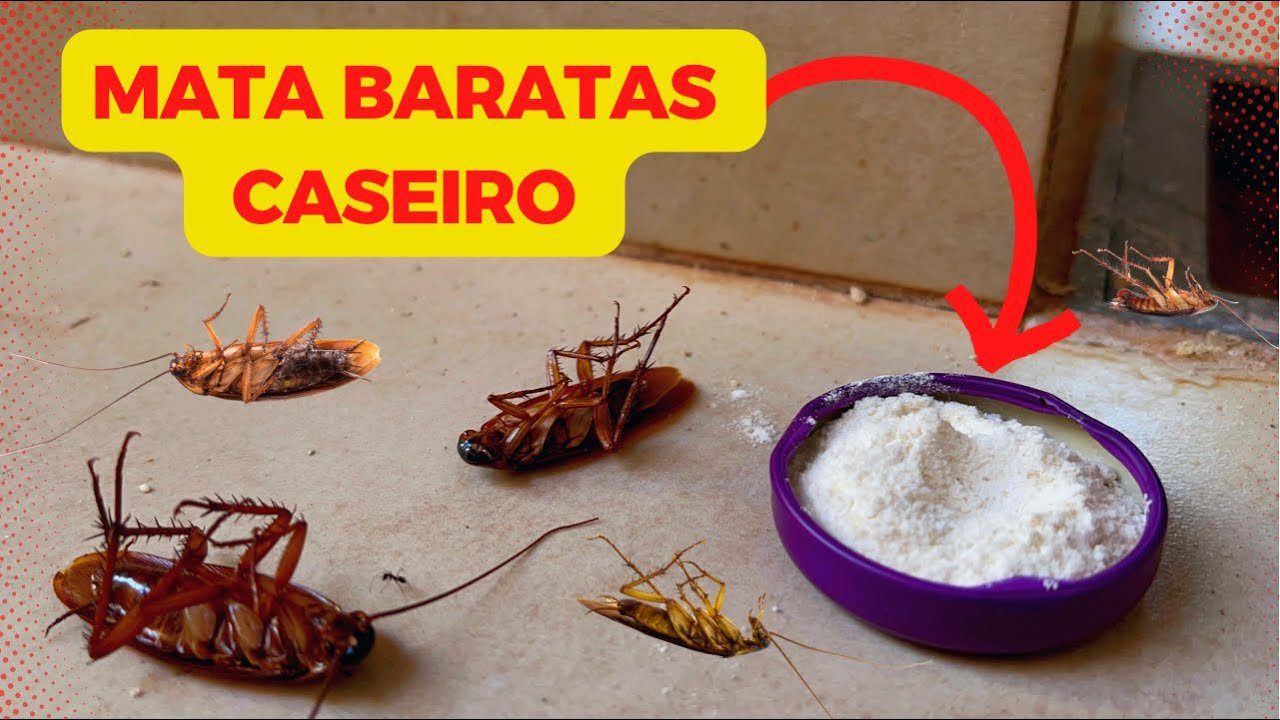 Como fazer veneno caseiro para baratas