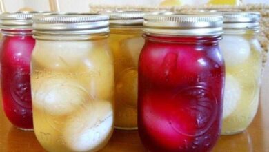 Conserva de ovos - a maneira mais saborosa e saudável de consumir ovo!
