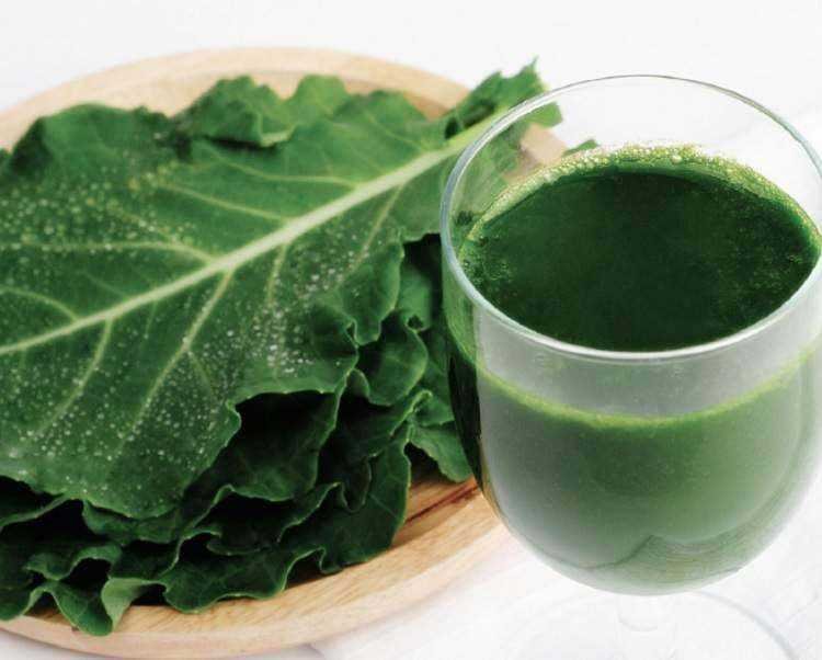 Couve Emagrece Couve Emagrece