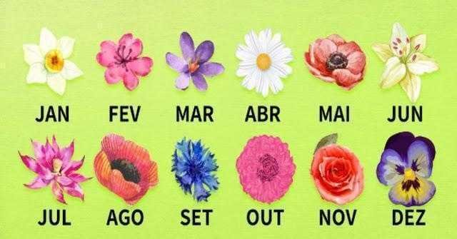 Descubra o que a flor do nascimento diz sobre a sua personalidade de