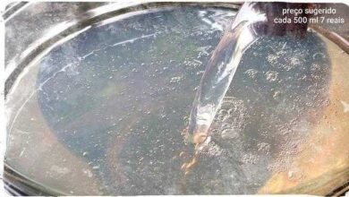 Detergente Glicerinado sem Soda | Bau das DICAS