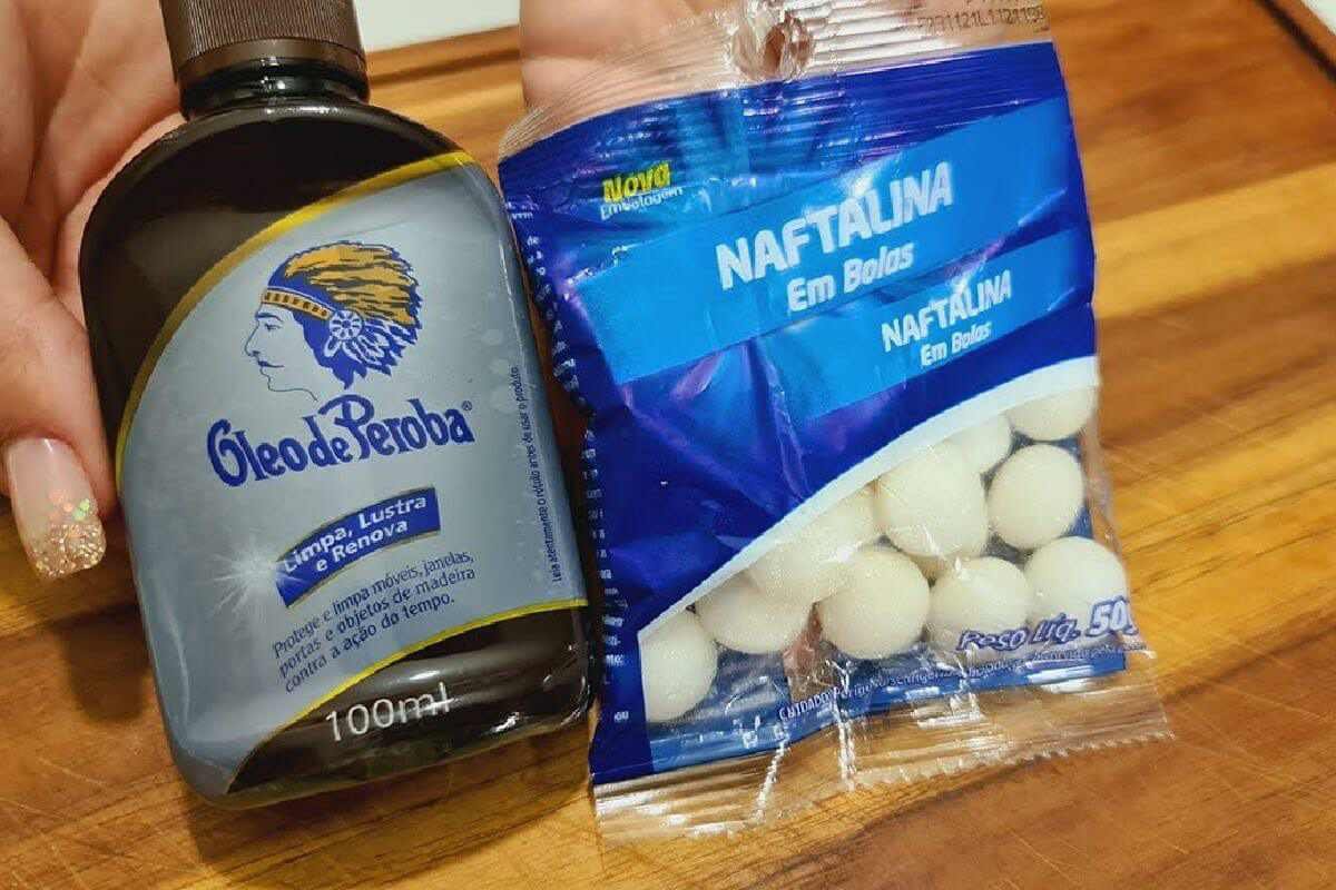 Veja essa sensacional dica para espantar insetos da sua casa de uma vez por todas