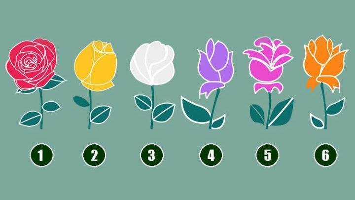 Escolha uma Rosa e depois leia a promessa de Deus em sua vida