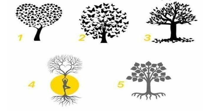 Escolha uma árvore e descubra o que ela diz sobre você