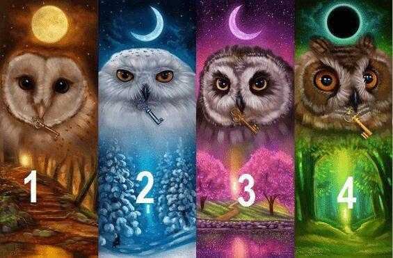 Escolha uma das 4 corujas e descubra a verdade sobre seu caráter. d