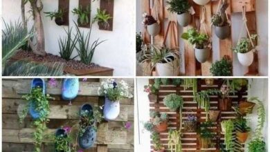 Ideias de jardins verticais para inspiração
