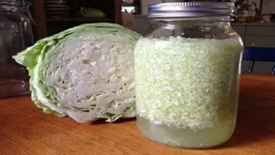 Click Bolso Receitas