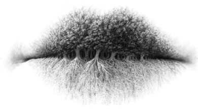 O que você vê primeiro nesta imagem? A resposta revela um lado oculto da tua personalidade