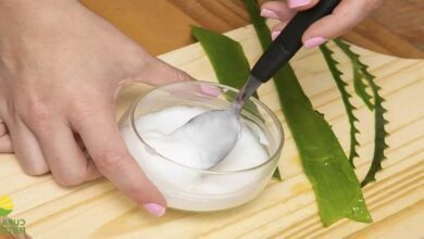 Óleo caseiro de babosa para a pele e cabelo