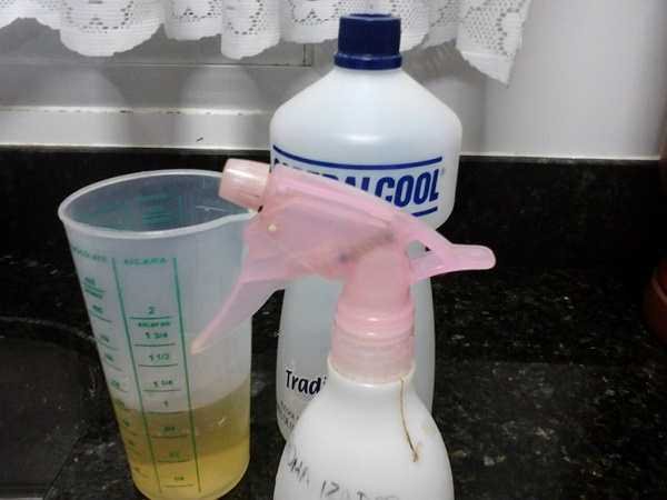 Receita Caseira Para Eliminar Formigas, Traças e Baratas