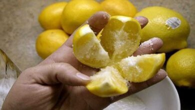 Receita milagrosa para eliminar os cheiros desagradáveis da cozinha