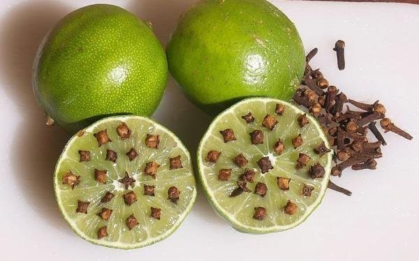 Repelentes Caseiros Para o Corpo e Ambientes