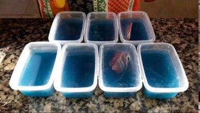 Sabão de vinagre e açúcar para dar brilho ao alumínio