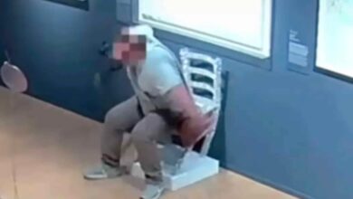 Vídeo impactante revela o momento em que turista 'desrespeitoso' quebra cadeira de 'Van Gogh' coberta de cristais