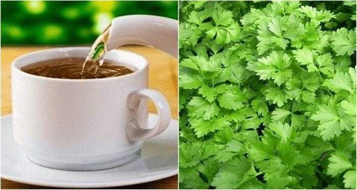 Chá de salsa emagrece e cuida da sua saúde