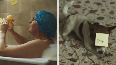 Comercial polonês de Natal emociona com final surpreendente