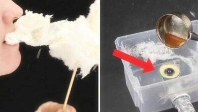 Como construir máquina para fazer algodão doce em sua casa