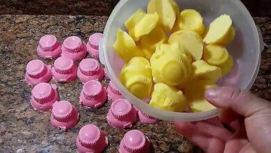 Como Fazer Pedra Sanitária bem Perfumada