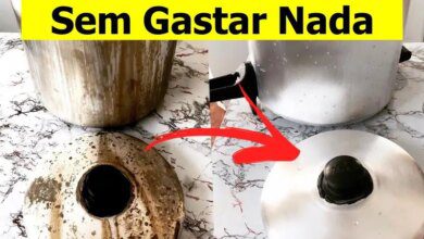 Como Limpar PANELA QUEIMADA Sem Fazer Força! FÁCIL e RÁPIDO