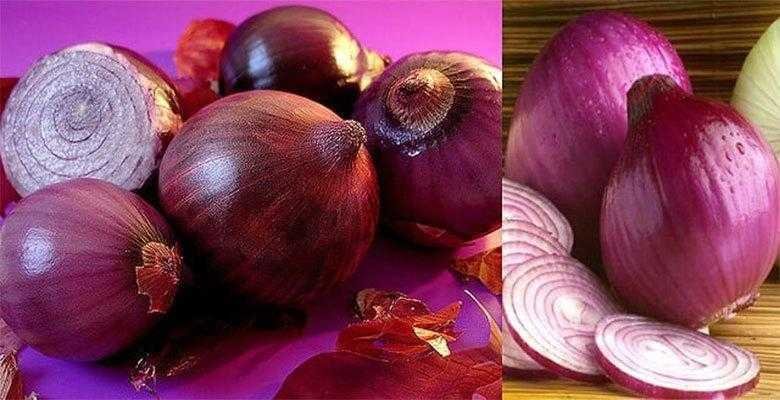 Depois de saber disto, você vai querer comer cebola roxa todos os dias! Veja…