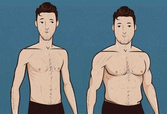 Dicas para engordar rápido qq