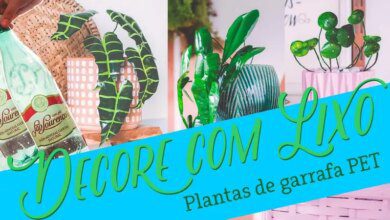 Faça plantas perfeitas usando garrafa PET - Decore com Lixo!