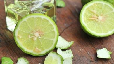 O incrível poder de cura do limão que poucos conhecem tg
