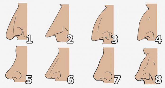 O que o formato do seu nariz diz sobre a sua personalidade?