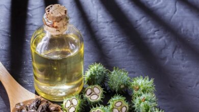 O Que Quase Ninguém Sabe Sobre o Óleo de Rícino!