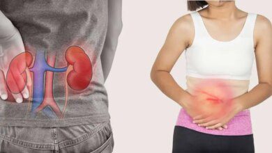 Pedra nos rins: Conheça as causas e os sintomas deste problema