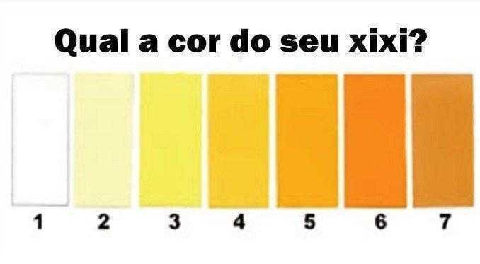 Qual a cor da sua urina ? Veja o que ela diz sobre sua saúde!