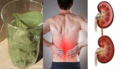 Remédio Caseiro Para Cólica Renal td