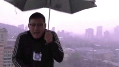 Repórter é atingido por raio durante transmissão ao vivo; veja o vídeo
