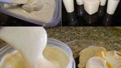 Requeijão Perfeito com 2 Ingredientes q