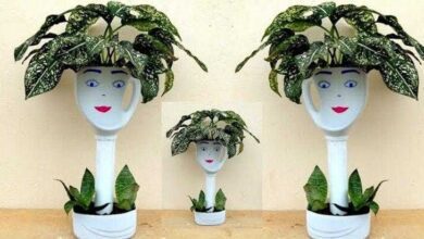 Transformei Garrafa de 3 Litros em Vasos