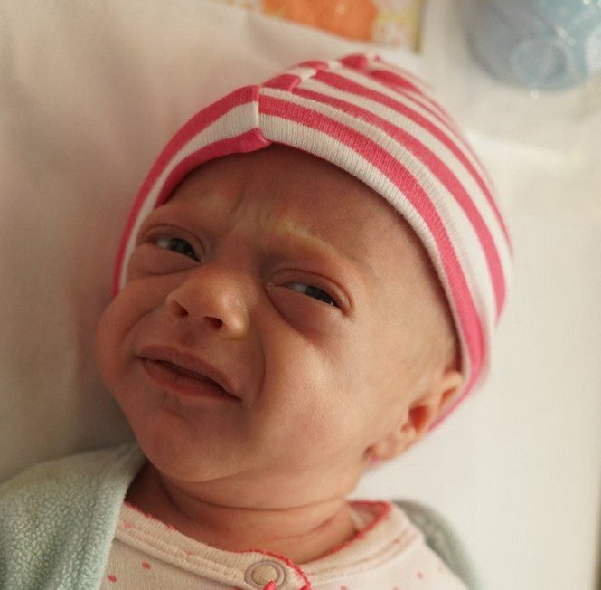 14 bebes que parecem ter nascido proximos da aposentadoria